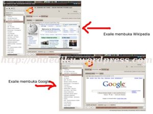 Web Browser di dalam Exaile